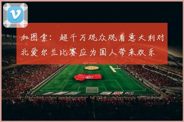 加图索：超千万观众观看意大利对北爱尔兰比赛应为国人带来欢乐