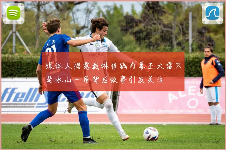 媒体人揭露戴琳借钱内幕王大雷只是冰山一角背后故事引发关注